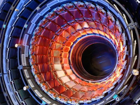 LHC: dove sarà il prossimo? Sfida tra Giappone e Cina