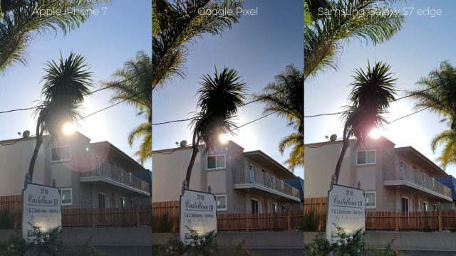 pixel-camera-versus-iphone7-galaxys7edge-palm-640x360
