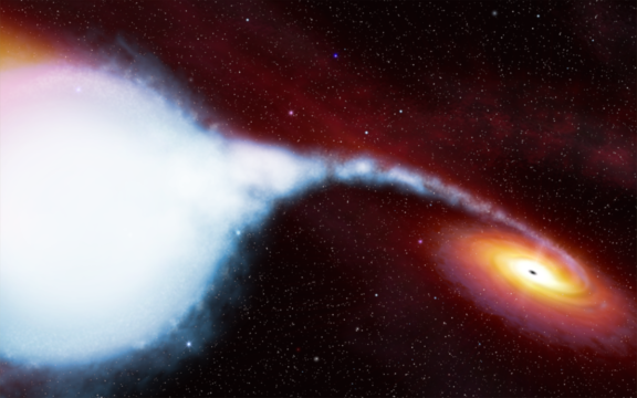 X9 Binario buco nero-nana bianca